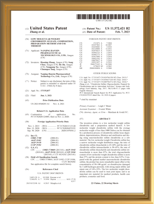 LetopCS Patent - Global patent