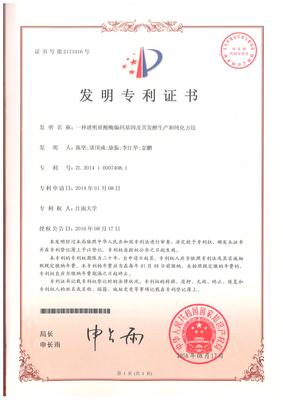 A number of invention patent certificates